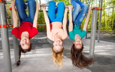 Flipping the Classroom